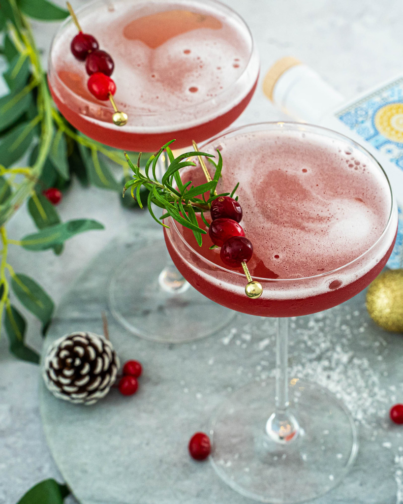Palma Cranberry Gin Fizz