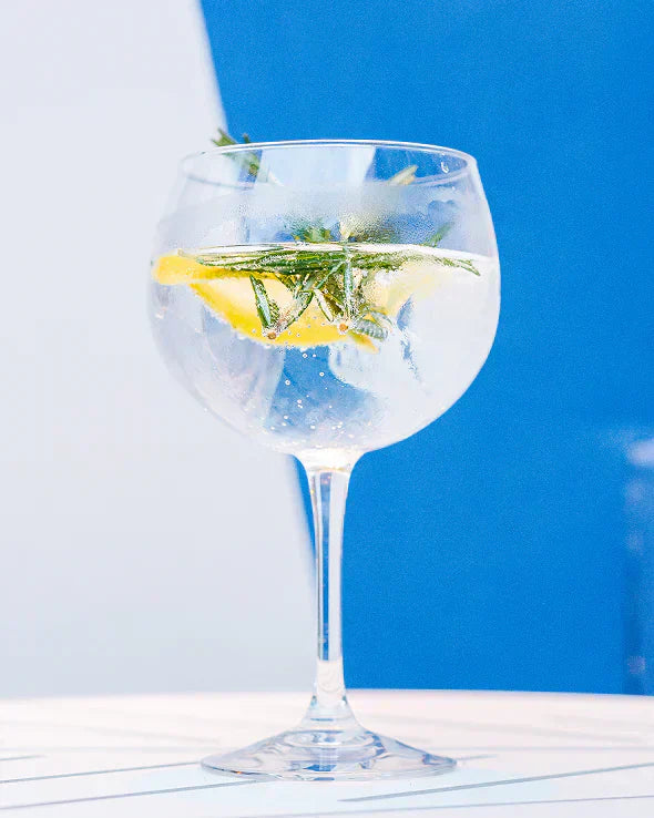 Wie trinkt man Gin richtig? – Tipps & Ideen